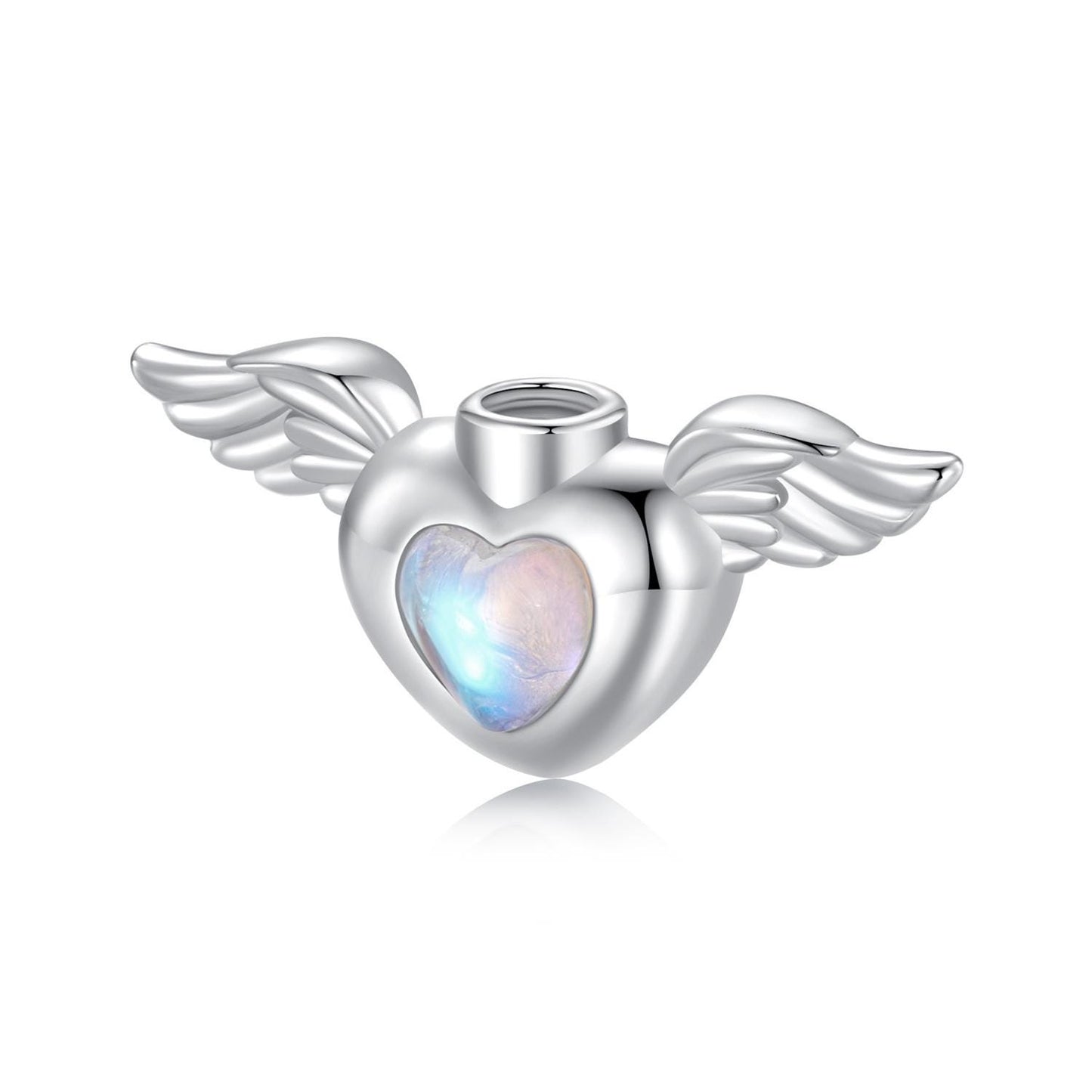 Pet Memorial Urn Ashes Pendant Charm
