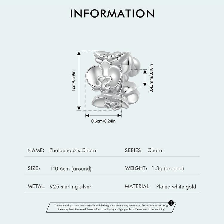 Phalaenopsis Charm