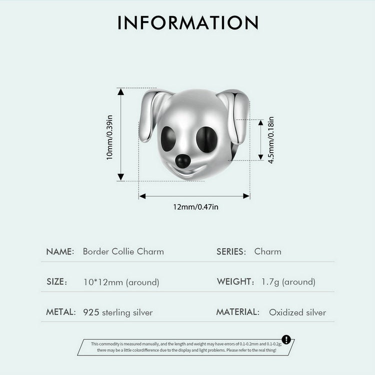 Border Collie Charm