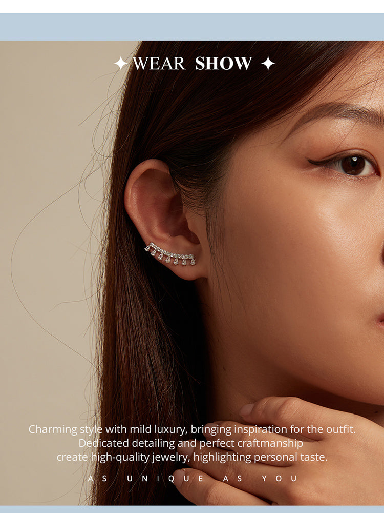 Elegant Zircon Hook Earrings