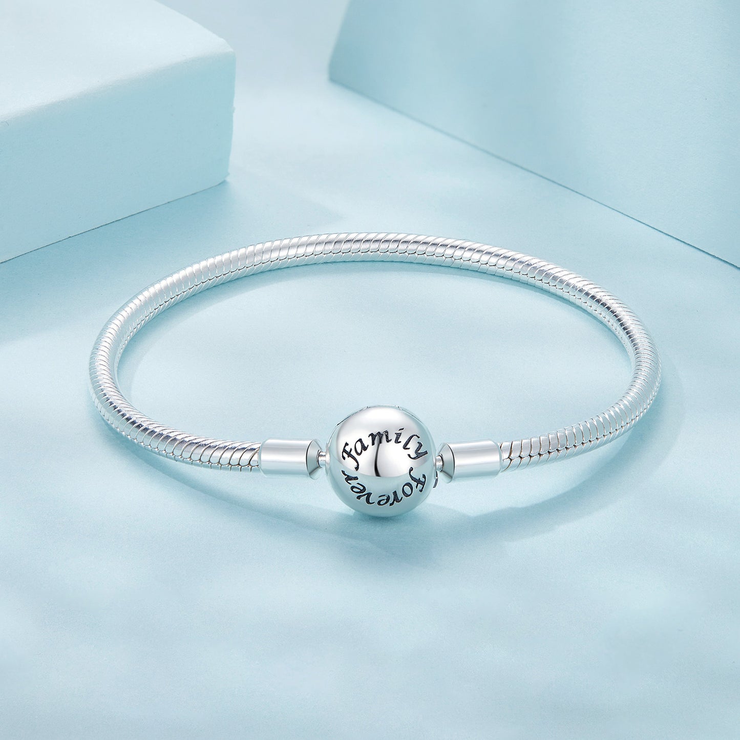 Serpentine Chain Basic Bracelet