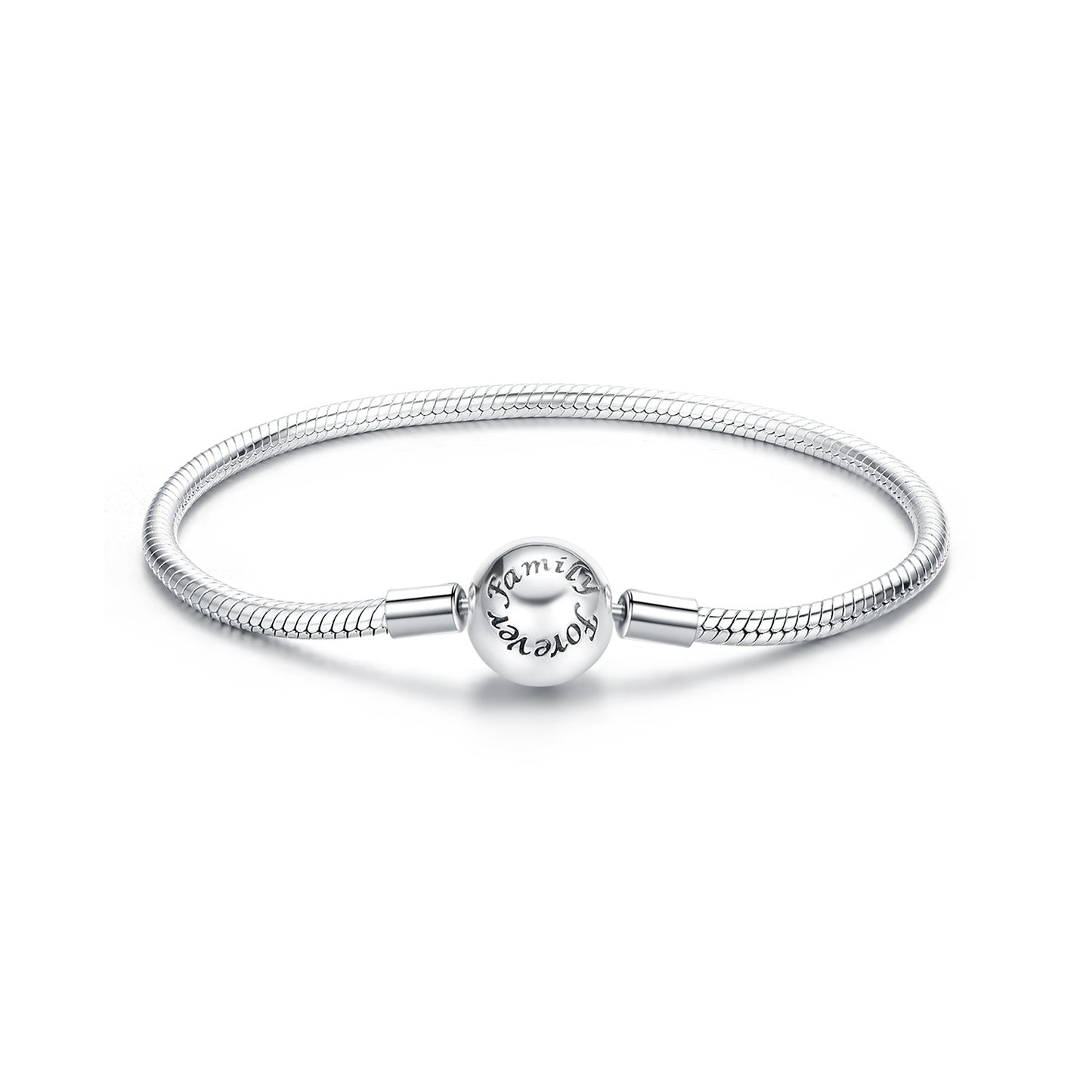 Serpentine Chain Basic Bracelet