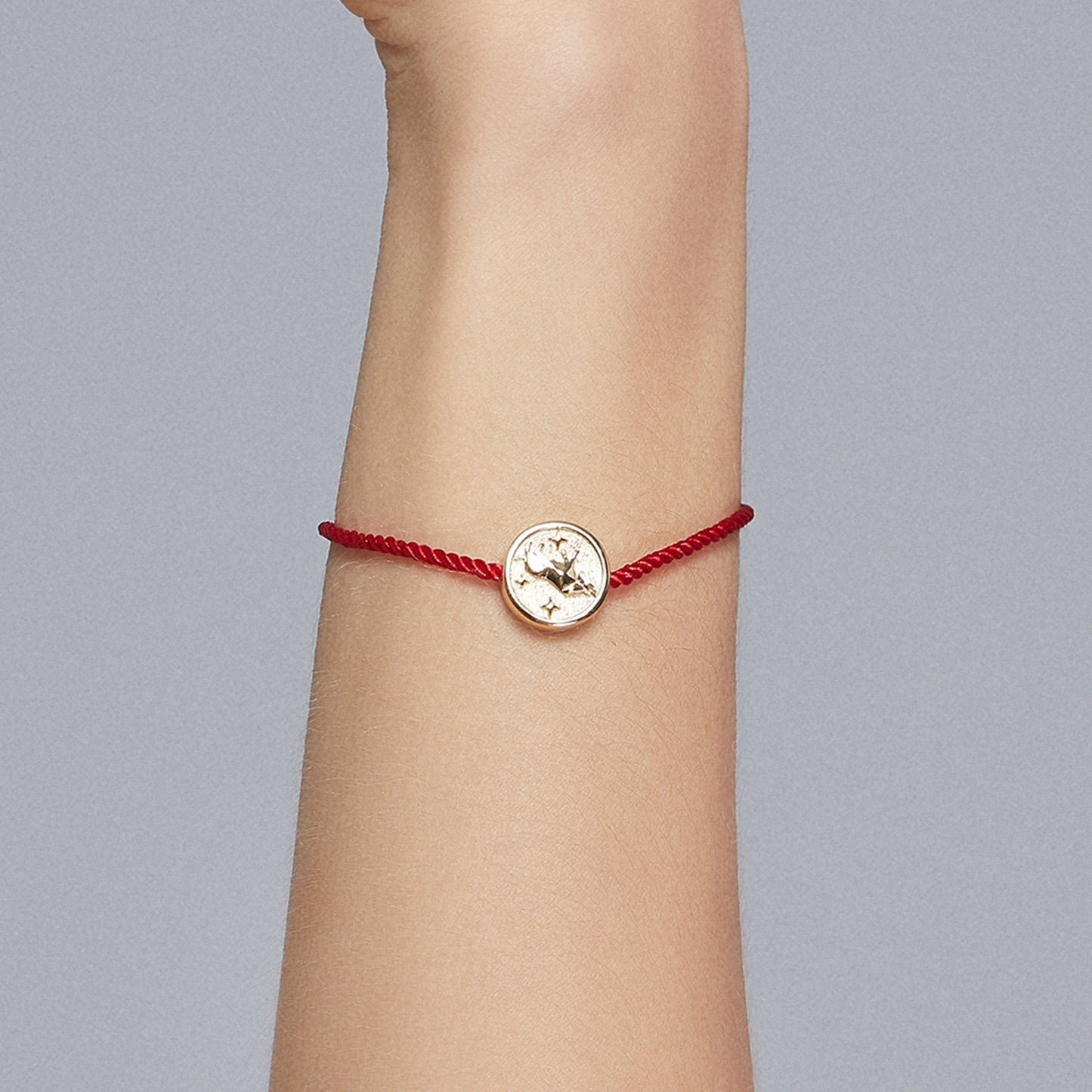 Lucky Ox Charm Bracelet