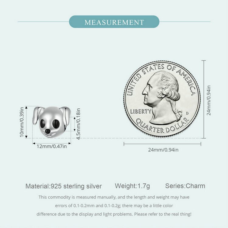 Border Collie Charm