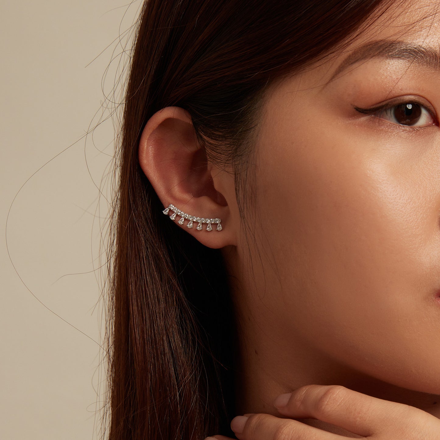 Elegant Zircon Hook Earrings
