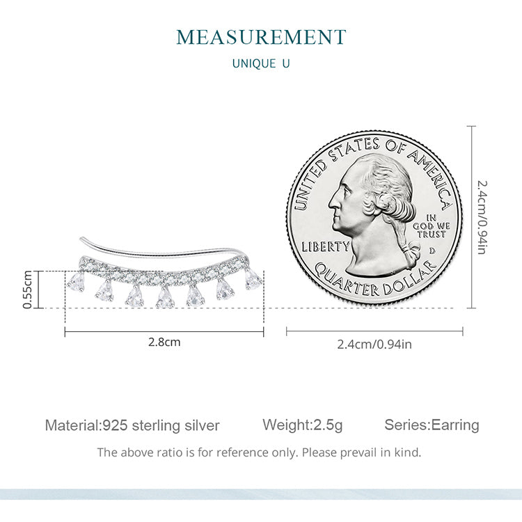Elegant Zircon Hook Earrings