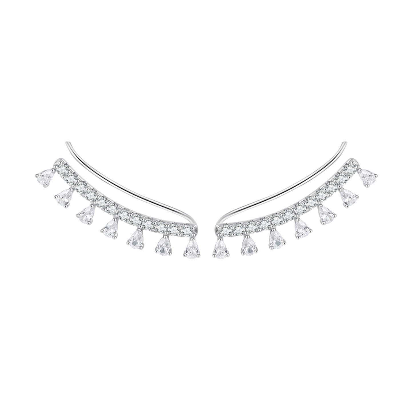 Elegant Zircon Hook Earrings
