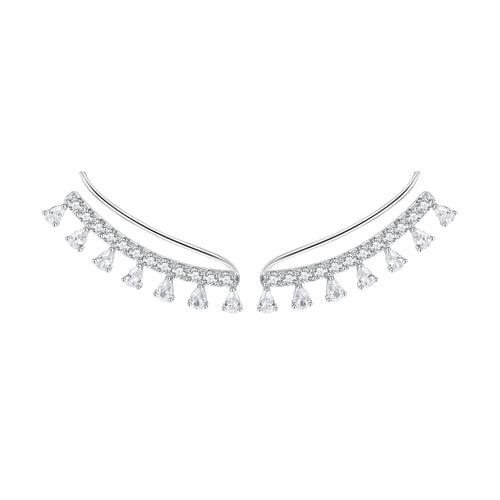 Elegant Zircon Hook Earrings