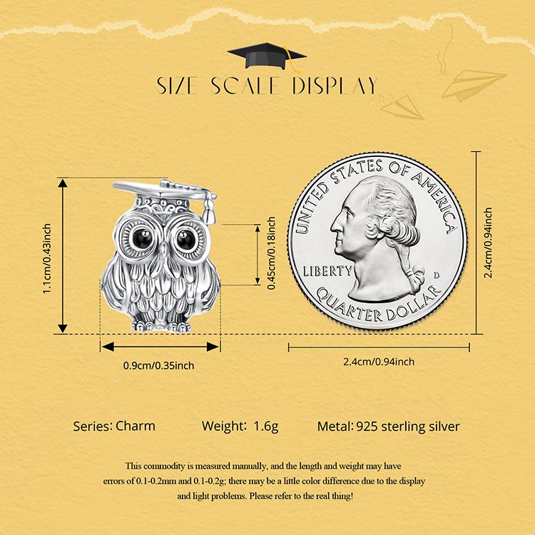 Wise Owl Charm