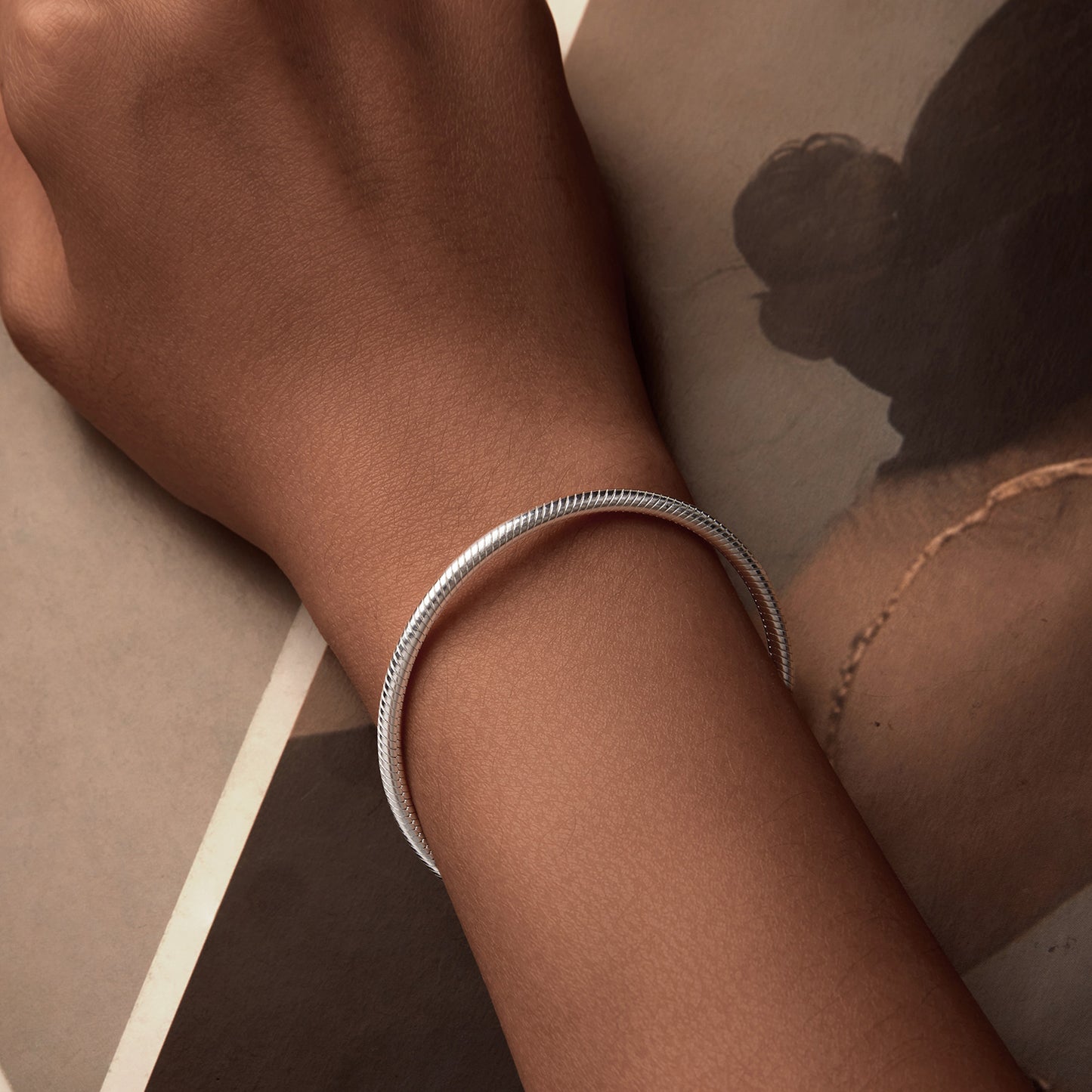 Serpentine Chain Basic Bracelet