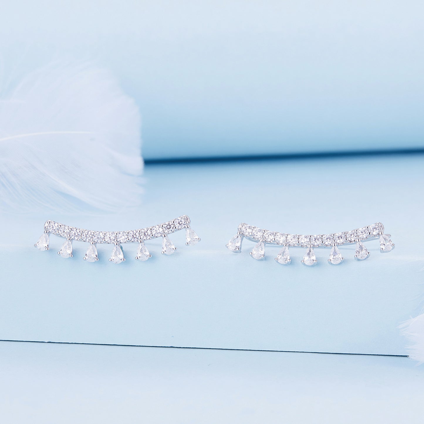 Elegant Zircon Hook Earrings