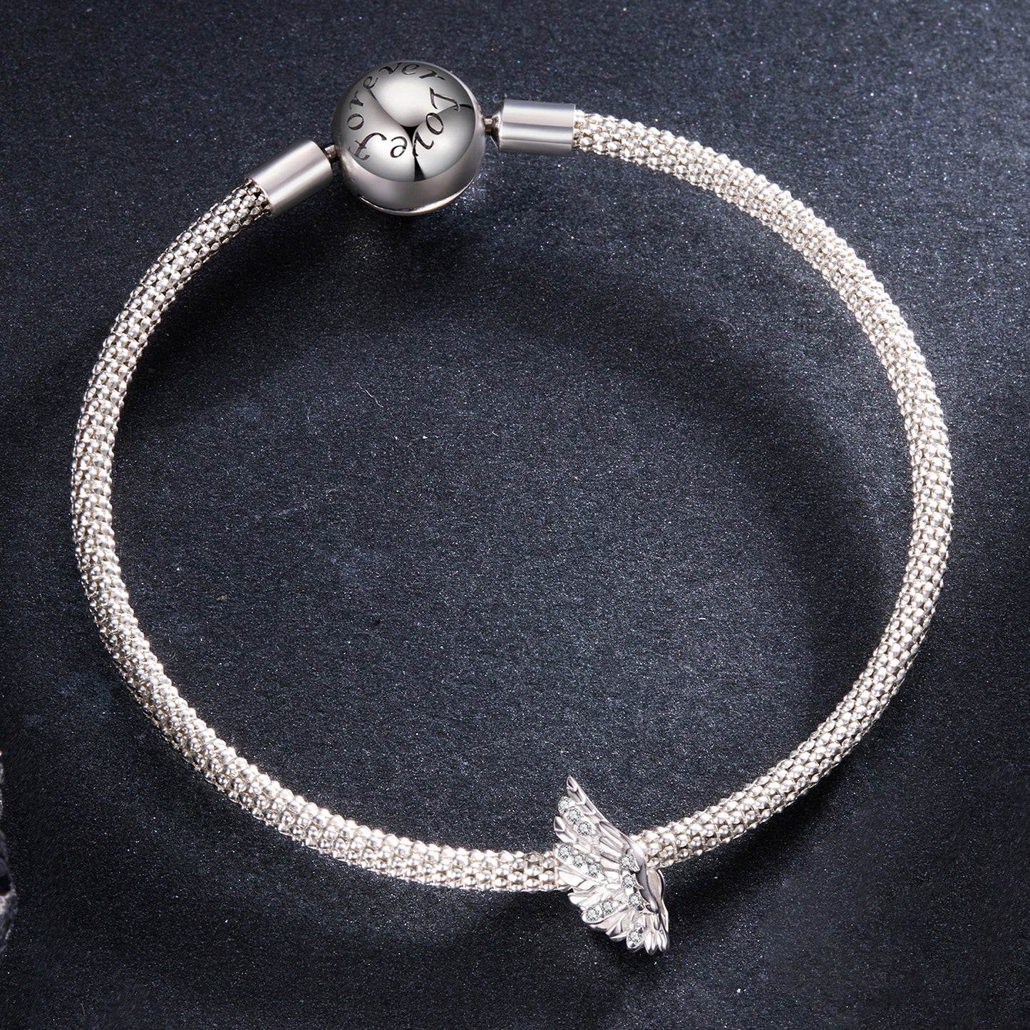 Wings of Protection Charm