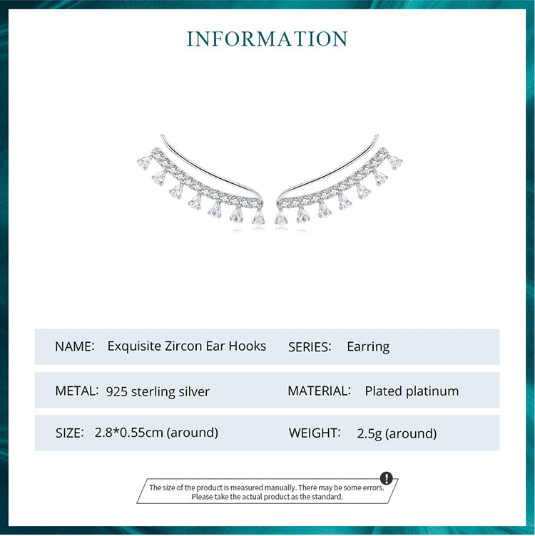 Elegant Zircon Hook Earrings