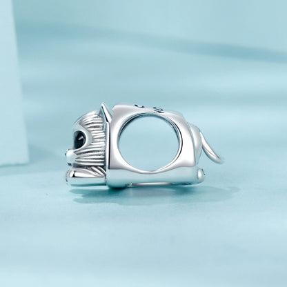 Cozy Cat House Charm