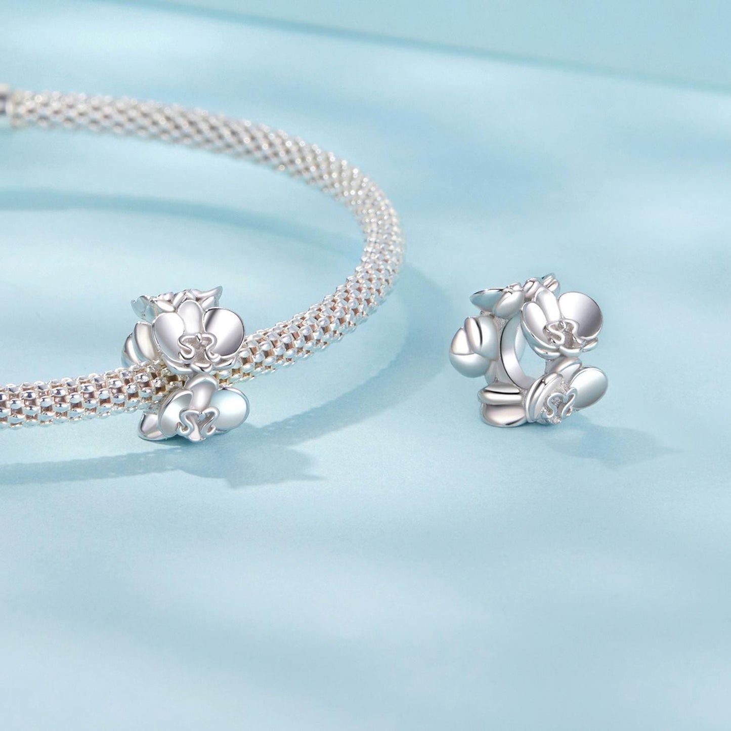Phalaenopsis Charm
