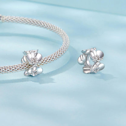 Phalaenopsis Charm