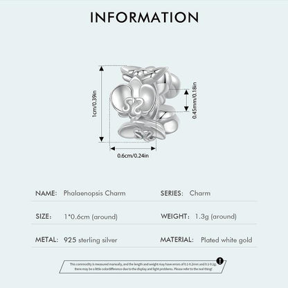 Phalaenopsis Charm