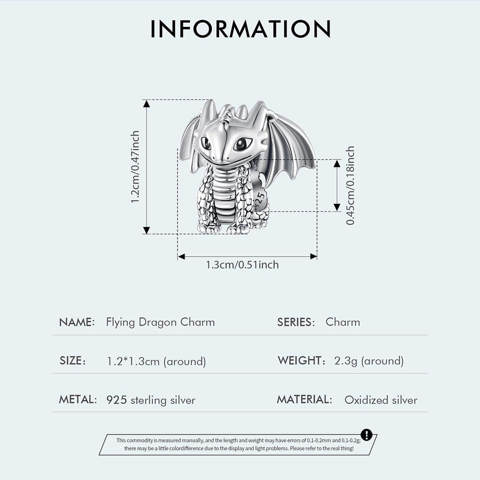 Flying Dragon Charm