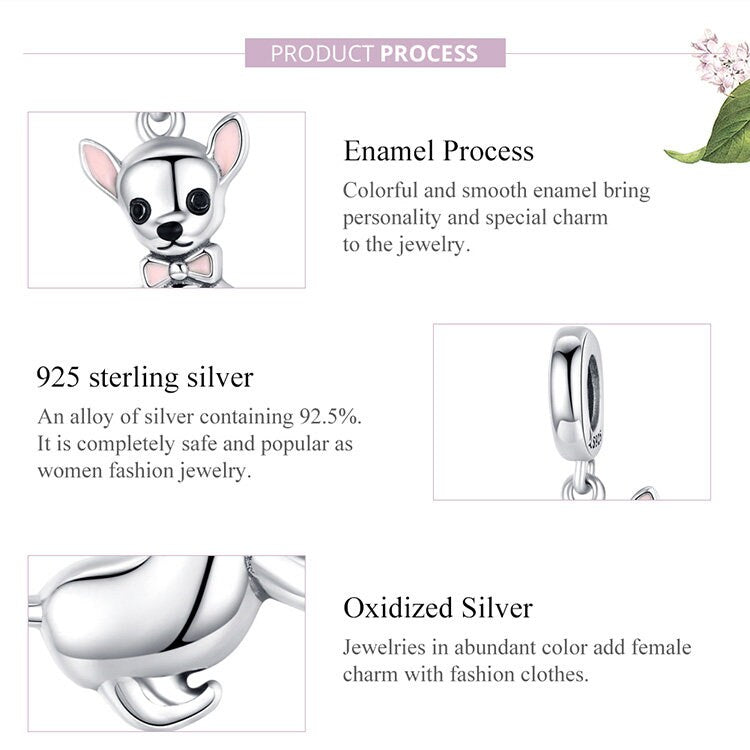 Chihuahua Charm