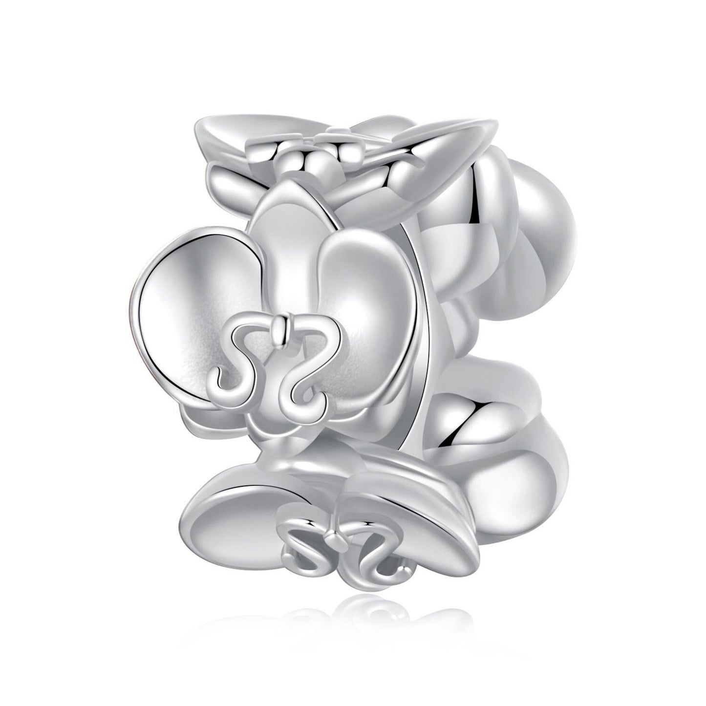 Phalaenopsis Charm