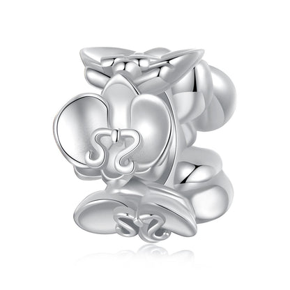 Phalaenopsis Charm