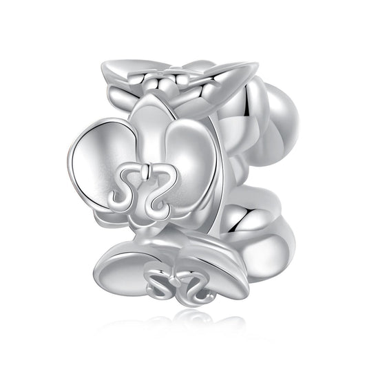 Phalaenopsis Charm