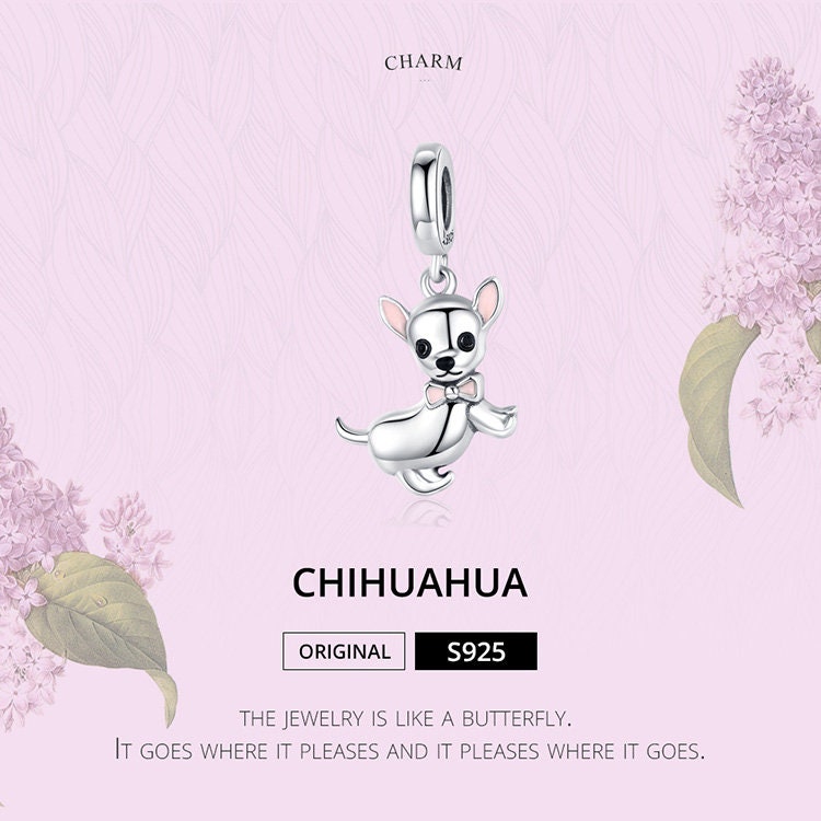 Chihuahua Charm