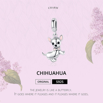 Chihuahua Charm