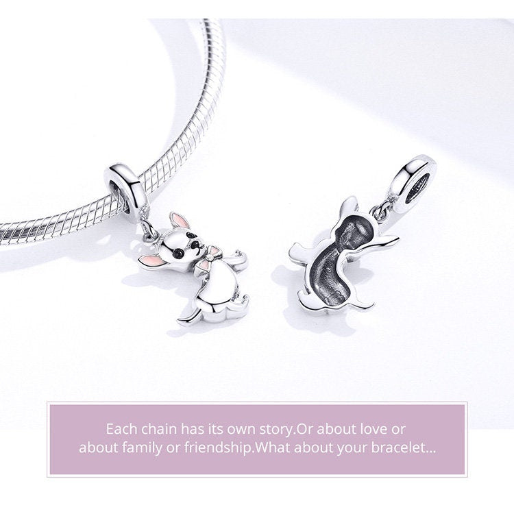 Chihuahua Charm