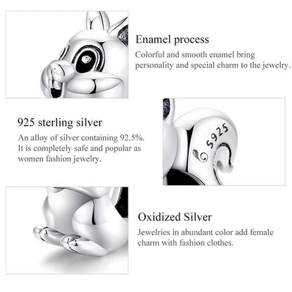 Squirrel Charm