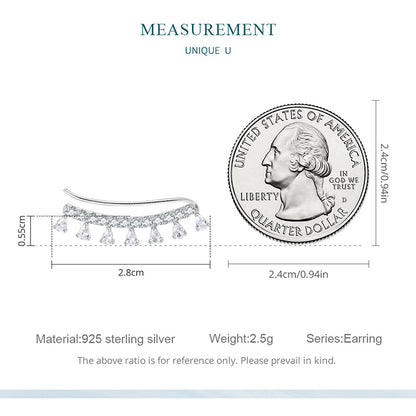 Elegant Zircon Hook Earrings
