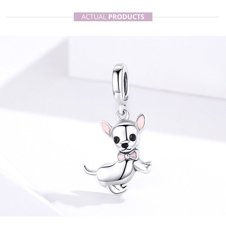 Chihuahua Charm
