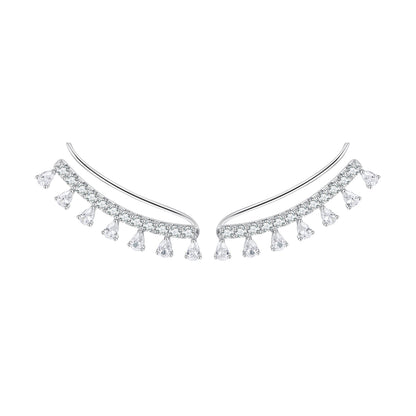 Elegant Zircon Hook Earrings