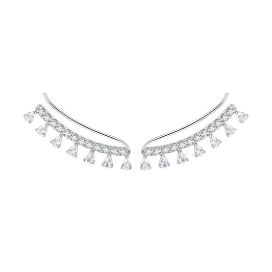 Elegant Zircon Hook Earrings