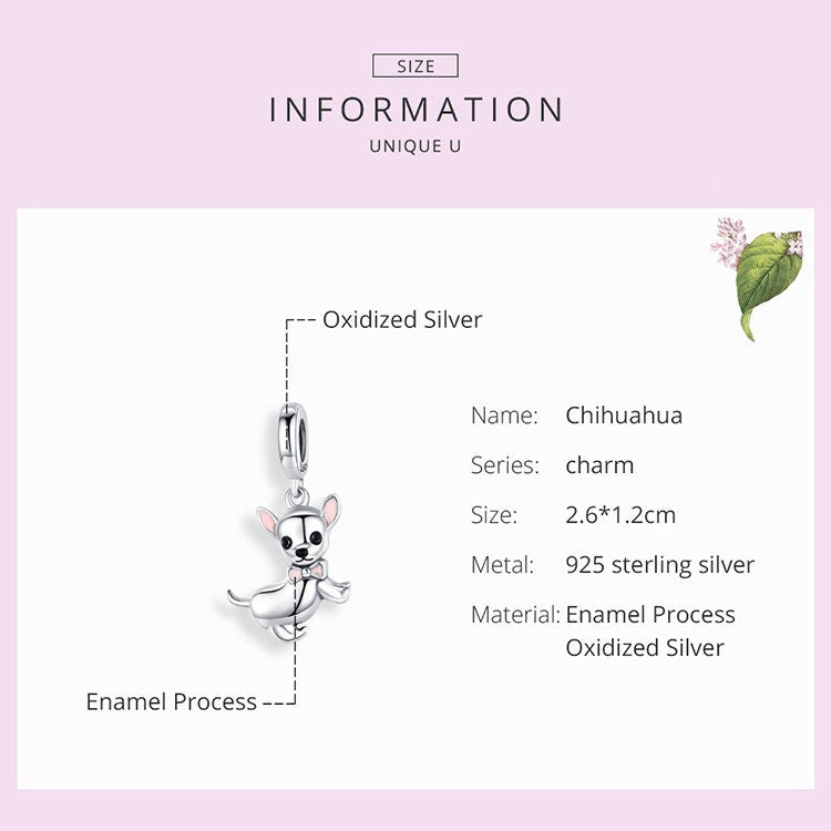 Chihuahua Charm