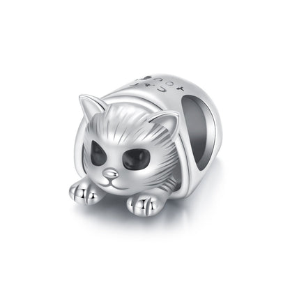 Cozy Cat House Charm