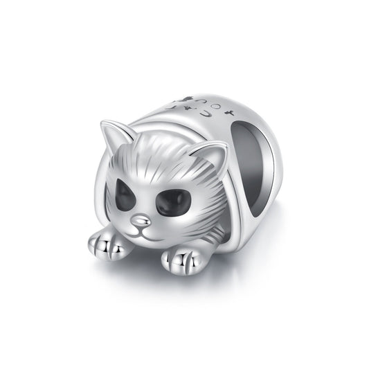 Cozy Cat House Charm
