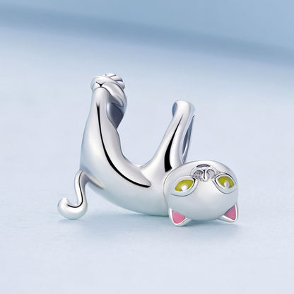 Cat Charm