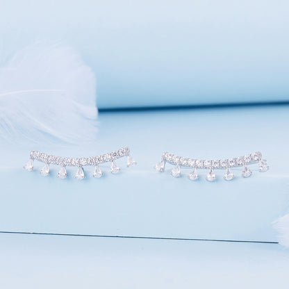 Elegant Zircon Hook Earrings