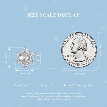 Ice Crystal Charm